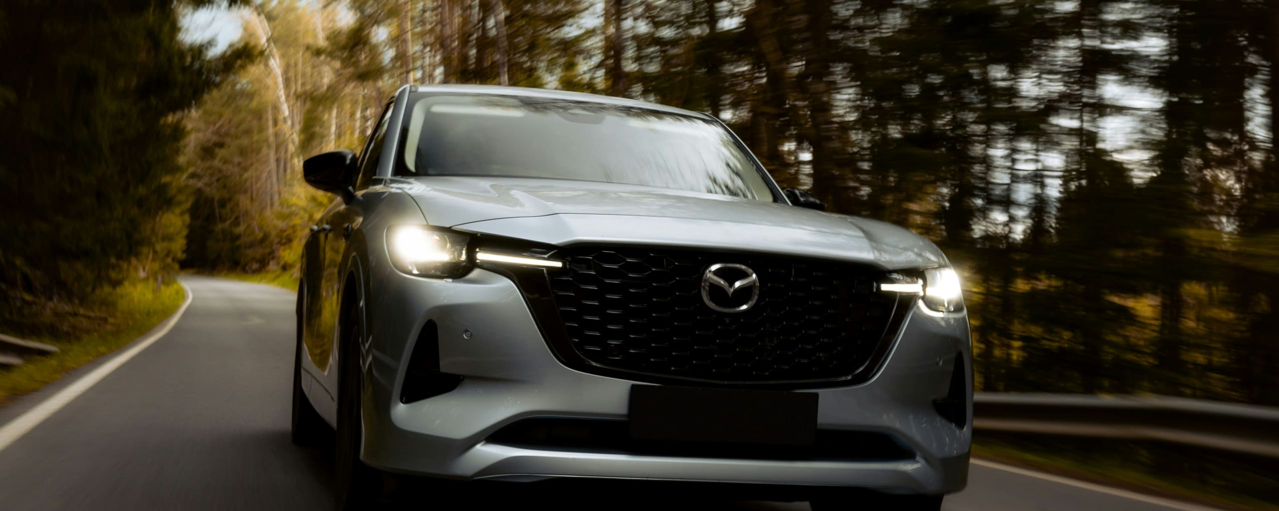 BMW Repair and Service near Jasper, GA